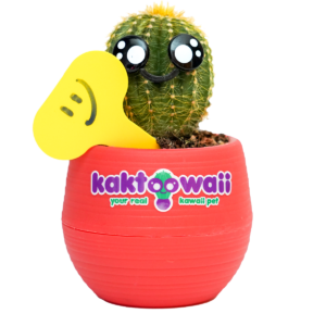 comprar cactus kawaii ikhawa rojo.